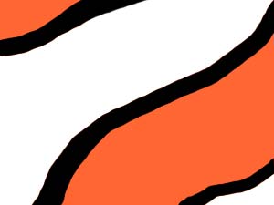 Nemo-Design